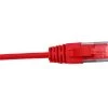 MSS 0.3 Metre 4 Pair Unshielded RJ45 - RJ45 Slim Cat6 Red Patch Lead -Cable Tool Store HCAT6RD0 3SL Primary 8