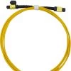 MPO-MPO Cable Assembly Singlemode OS2 24 Fibre 10 Metre Female -Cable Tool Store MTPOS2 10 2 4