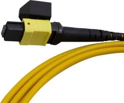 MTP-MTP Cable Assembly Singlemode OS2 12 Fibre 10 Metre Female 7 MTP-MTP Cable Assembly Singlemode OS2 12 Fibre 10 Metre Female -Cable Tool Store MTPOS2 10 Primary 5
