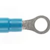 PRE-INSULATED RING TERMINAL (1.0-2.6MM CABLE) BLUE 5MM STUD -Cable Tool Store RT2 45 5 primary